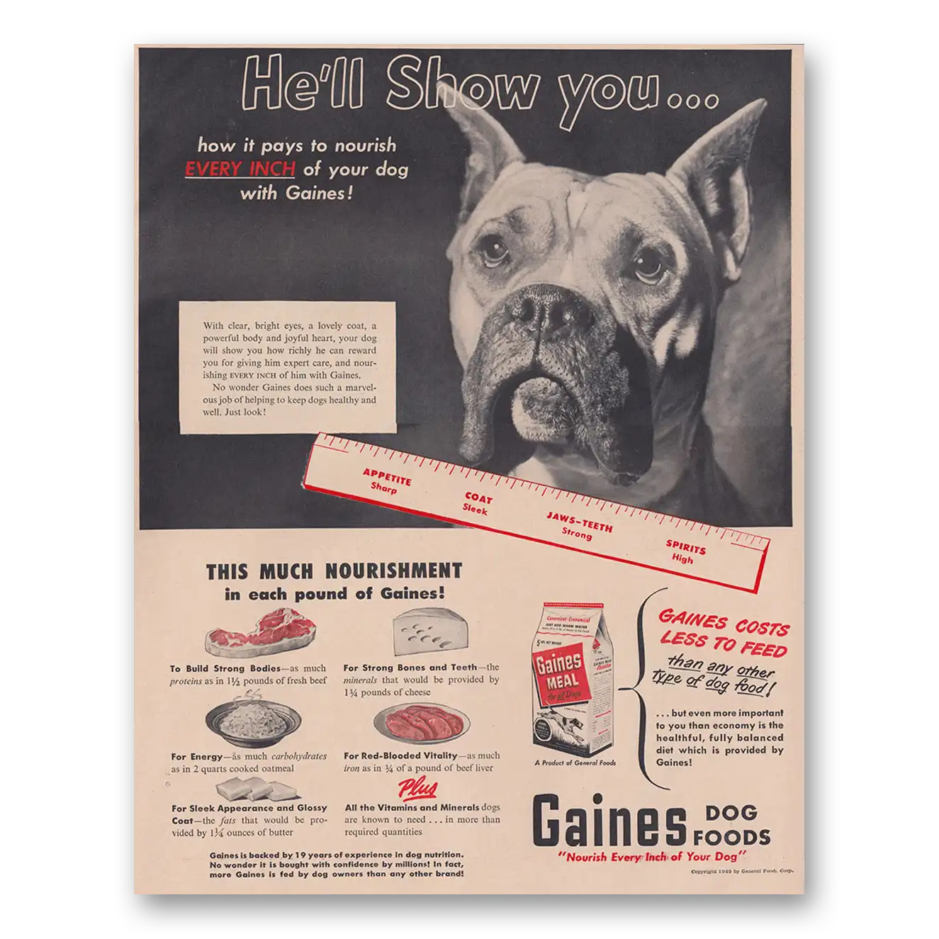 1949 Gaines Dog Food He'll Show You Vintage Magazine Print Ad