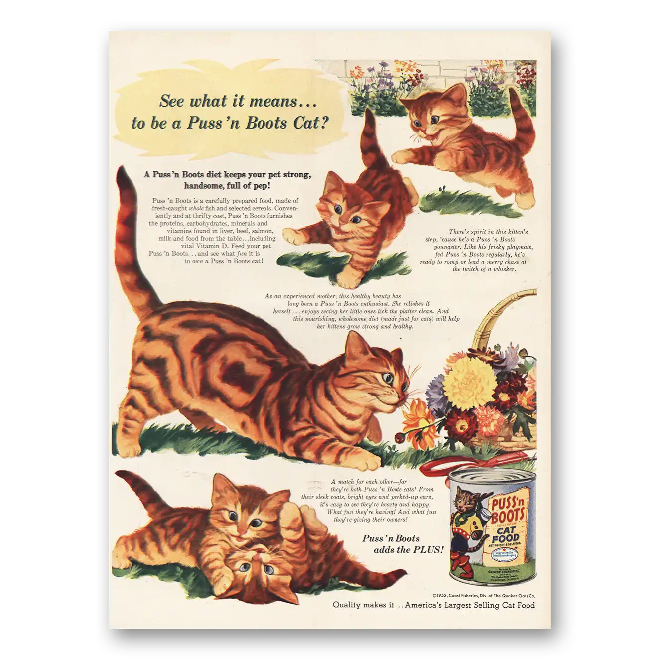 1952 Puss n Boots See What It Means Vintage Magazine Print Ad