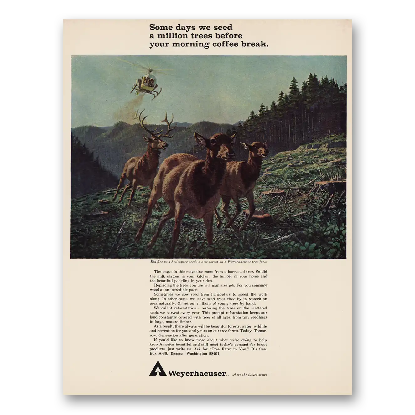 1966 Weyerhaeuser Million Trees Before Morning Coffee Vintage Magazine Print Ad