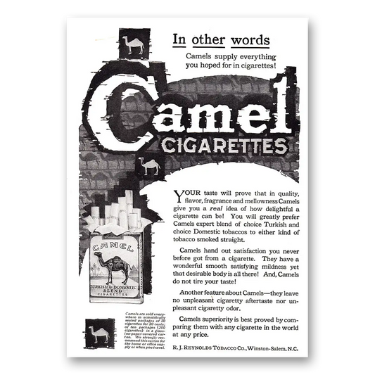 1920 Camel Cigarettes Other Words Vintage Magazine Print Ad