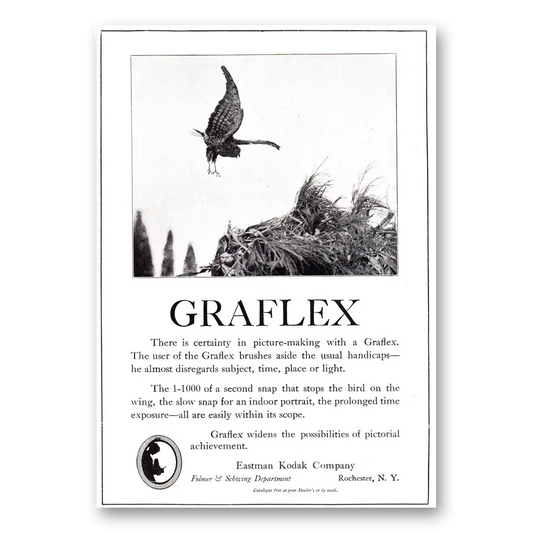 1920 Graflex Stops the Bird on the Wing Vintage Magazine Print Ad