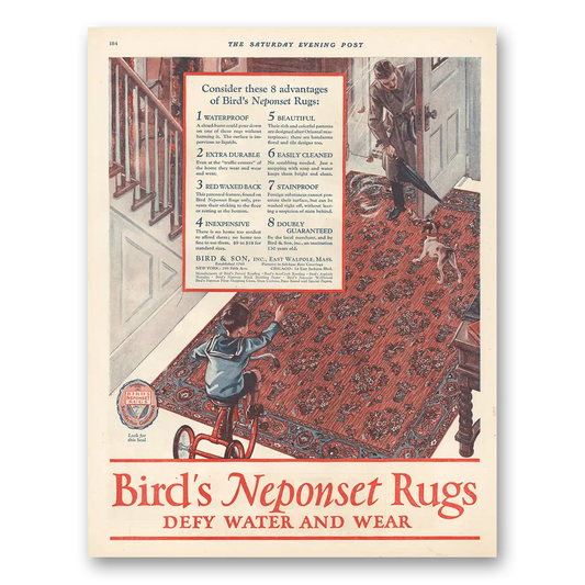 1924 Birds Neponset Rugs Defy Water and Wear Vintage Magazine Print Ad