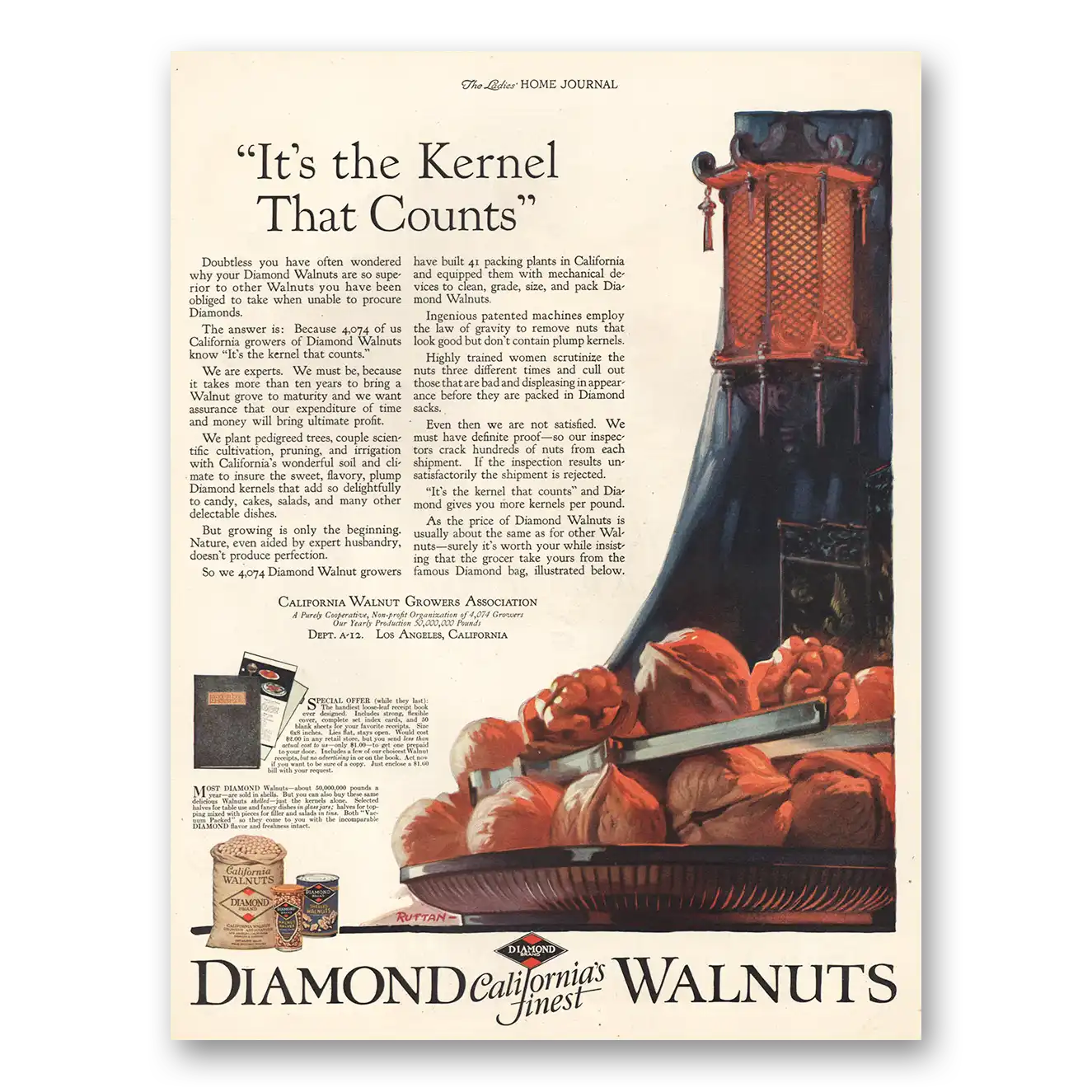 1924 Diamond Walnuts Its the Kernel That Counts Vintage Magazine Print Ad