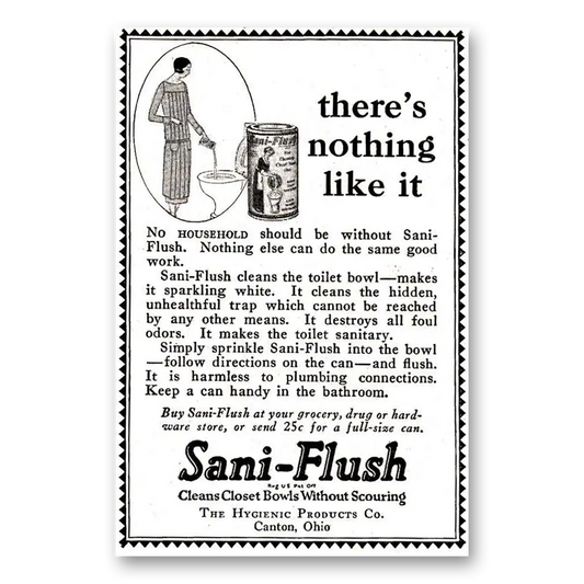 1925 Sani Flush Nothing Like It Vintage Magazine Print Ad