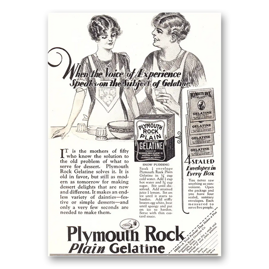 1927 Plymouth Rock Gelatine Voice of Experience Vintage Magazine Print Ad