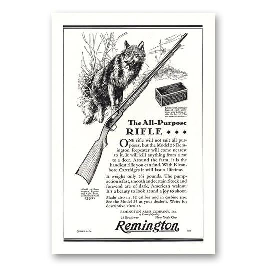 1929 Remington Arms One Rifle Will Not Suit All Purposes Vintage Magazine Print Ad