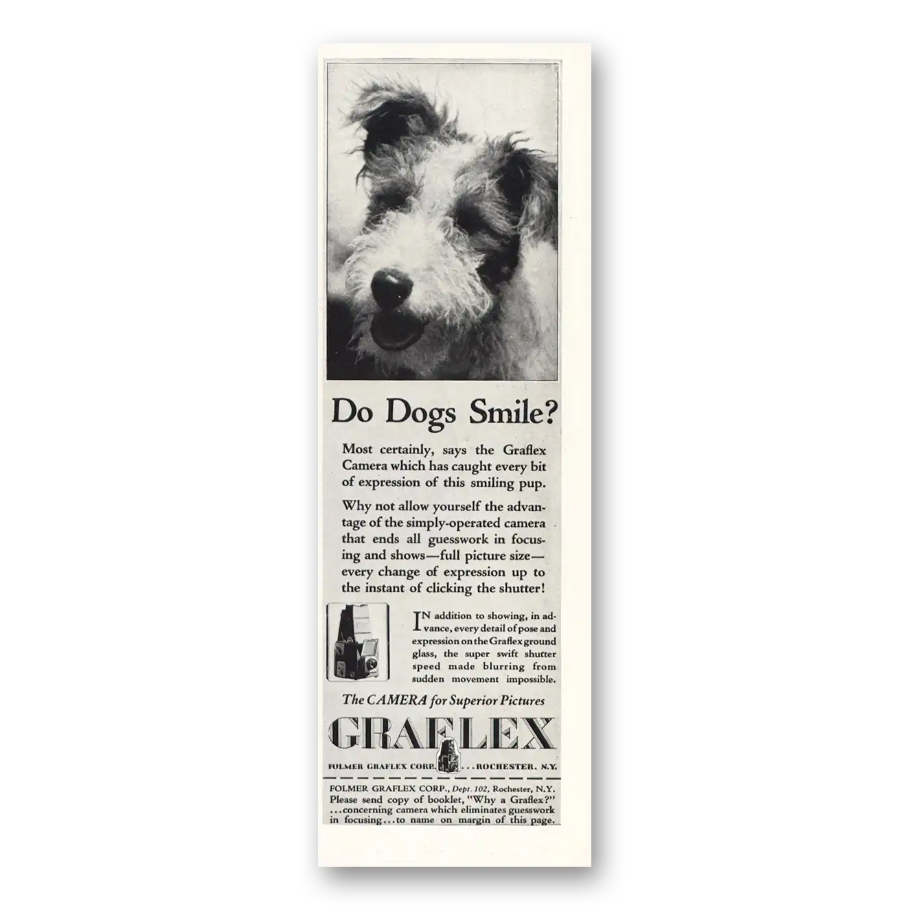 1931 Graflex Cameras Do Dogs Smile Vintage Magazine Print Ad