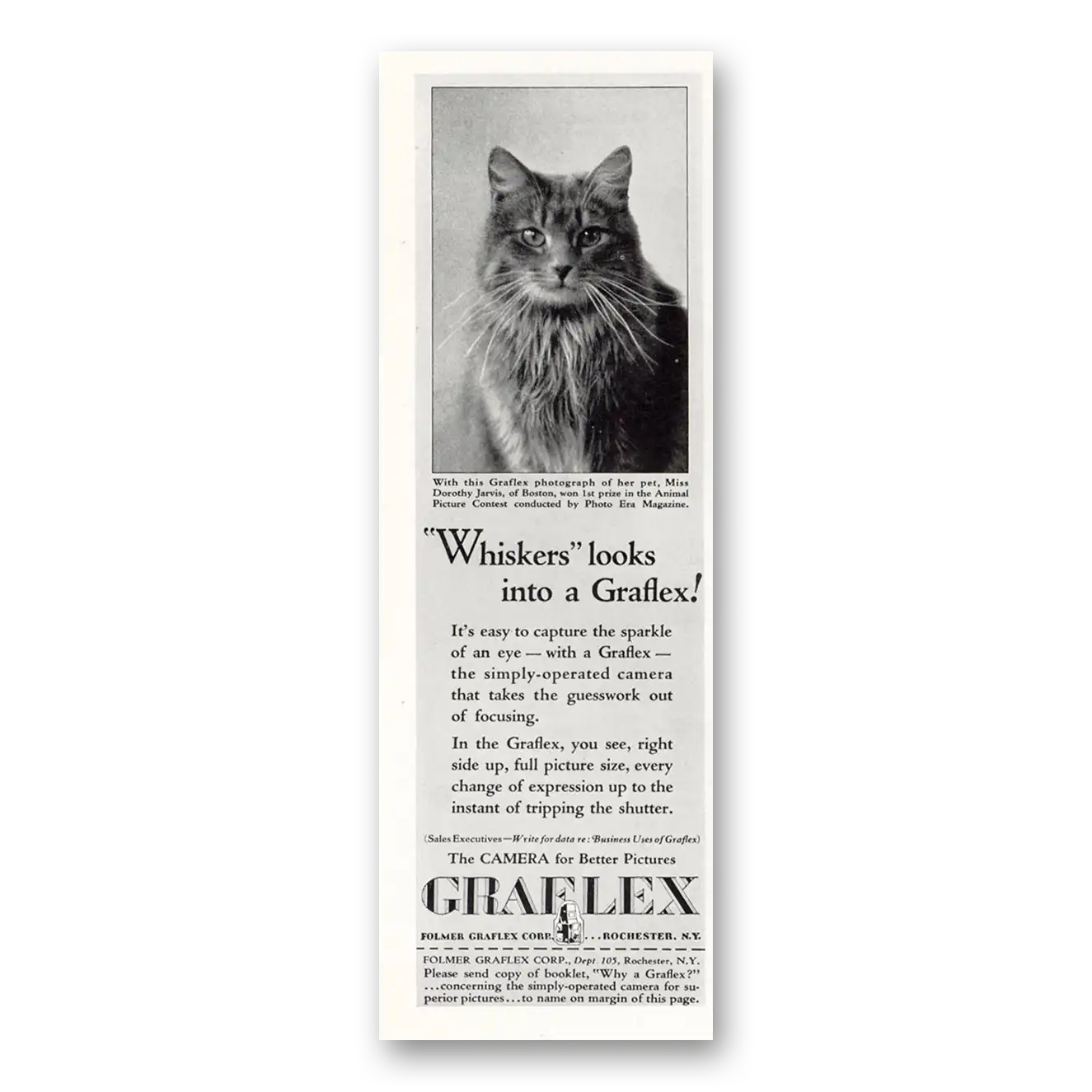 1931 Graflex Cameras Whiskers the Cat Vintage Magazine Print Ad