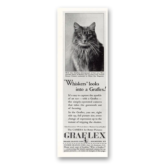 1931 Graflex Cameras Whiskers the Cat Vintage Magazine Print Ad