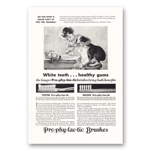 1931 Pro-Phy-Lac-Tic Brush White Teeth Healthy Gum Vintage Magazine Print Ad