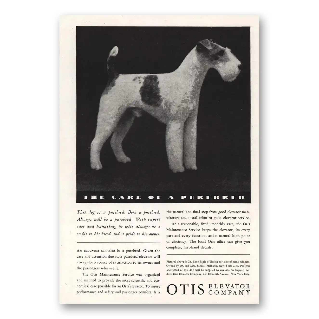 1934 Otis Elevator Care Of Purebred Vintage Magazine Print Ad