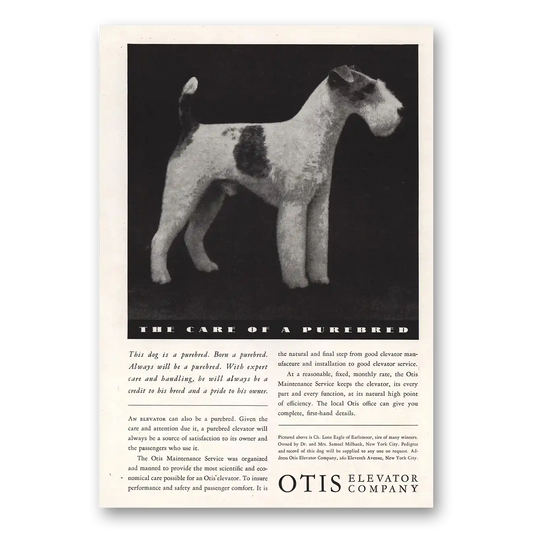 1934 Otis Elevator Care Of Purebred Vintage Magazine Print Ad