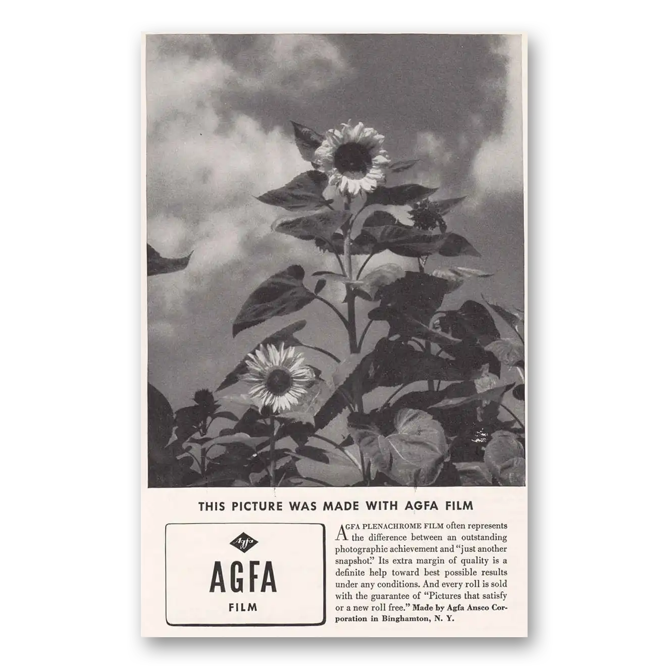 1936 Agfa Film Daisy Picture Made With AGFA Film Vintage Magazine Print Ad