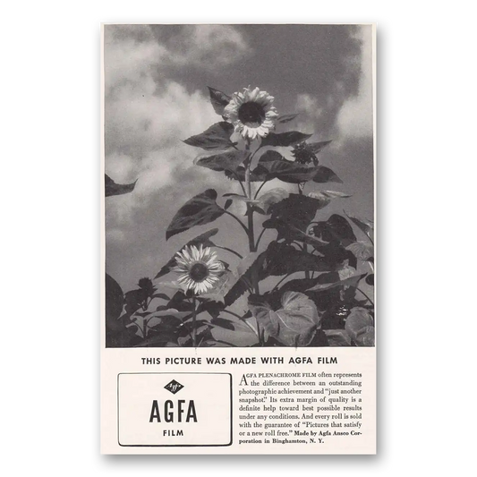 1936 Agfa Film Daisy Picture Made With AGFA Film Vintage Magazine Print Ad