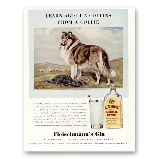 1940 Fleischmanns Gin Learn About a Collins From a Collie Vintage Magazine Print Ad