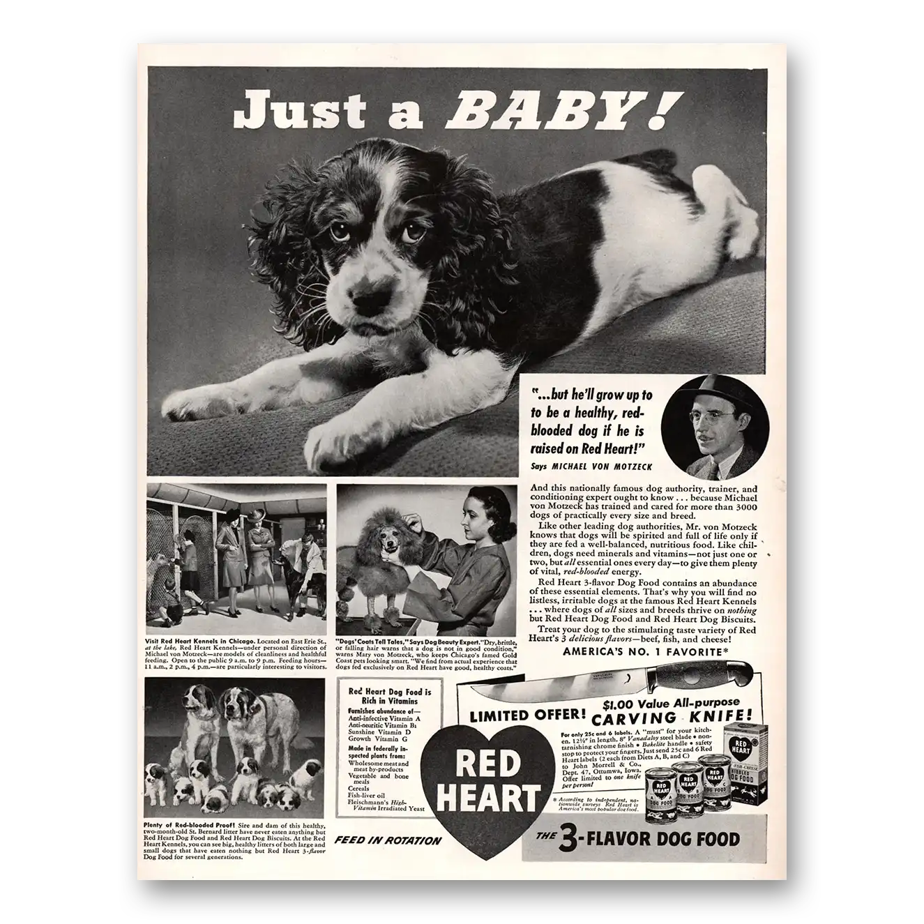 1941 Red Heart Dog Food Just a Baby Vintage Magazine Print Ad