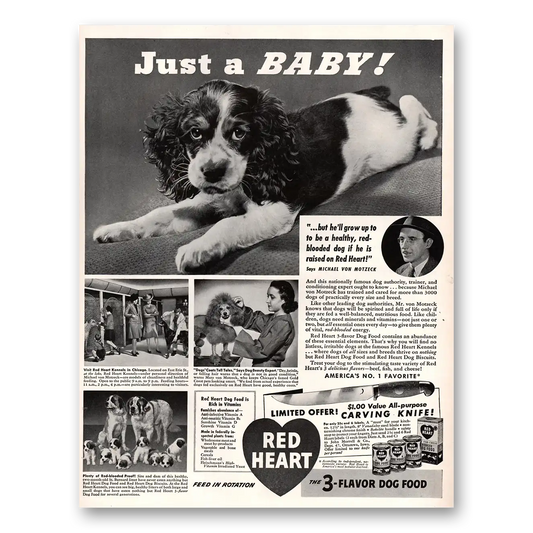 1941 Red Heart Dog Food Just a Baby Vintage Magazine Print Ad