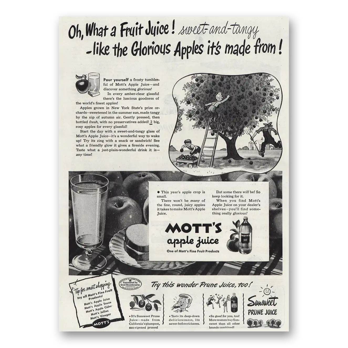 1945 Motts Apple Juice Sweet and Tangy Vintage Magazine Print Ad