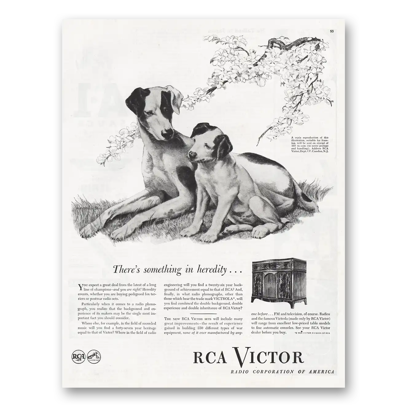 1945 RCA Victor Something In Heredity Vintage Magazine Print Ad