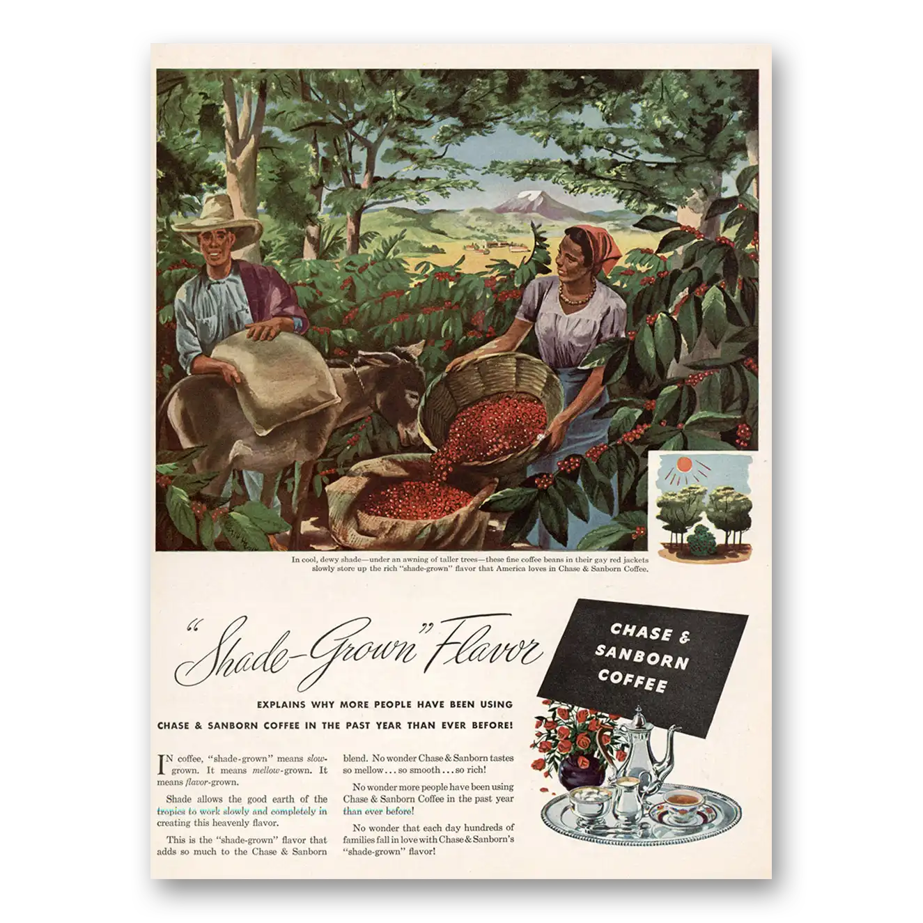 1946 Chase & Sanborn Coffee Shade Grown Flavor Vintage Magazine Print Ad