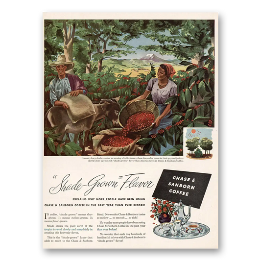 1946 Chase & Sanborn Coffee Shade Grown Flavor Vintage Magazine Print Ad