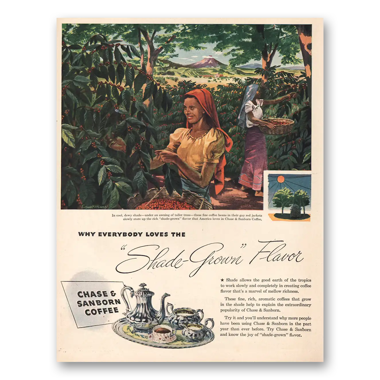 1946 Chase & Sanborn Coffee Everybody Loves Shade Grown Vintage Magazine Print Ad