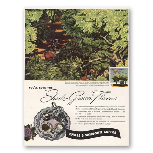 1946 Chase & Sanborn Coffee Shade Grown Flavor Vintage Magazine Print Ad