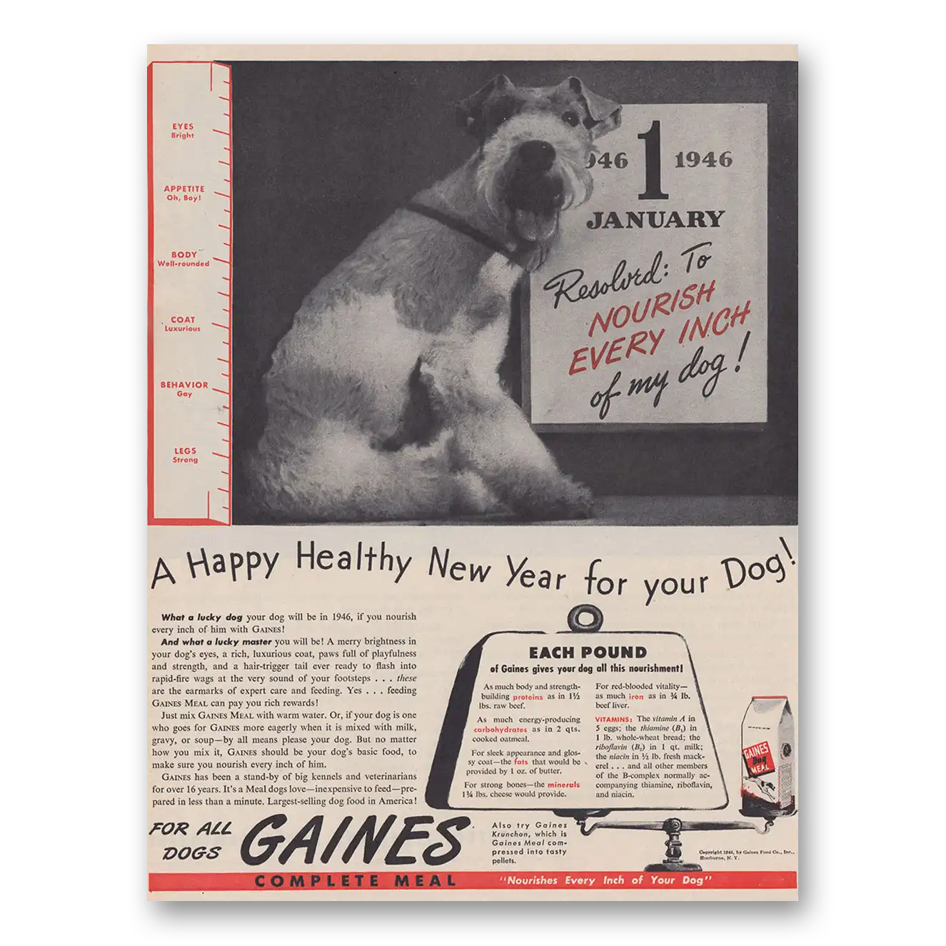 1946 Gaines Dog Food Nourish Every Inch of My Dog Vintage Magazine Print Ad