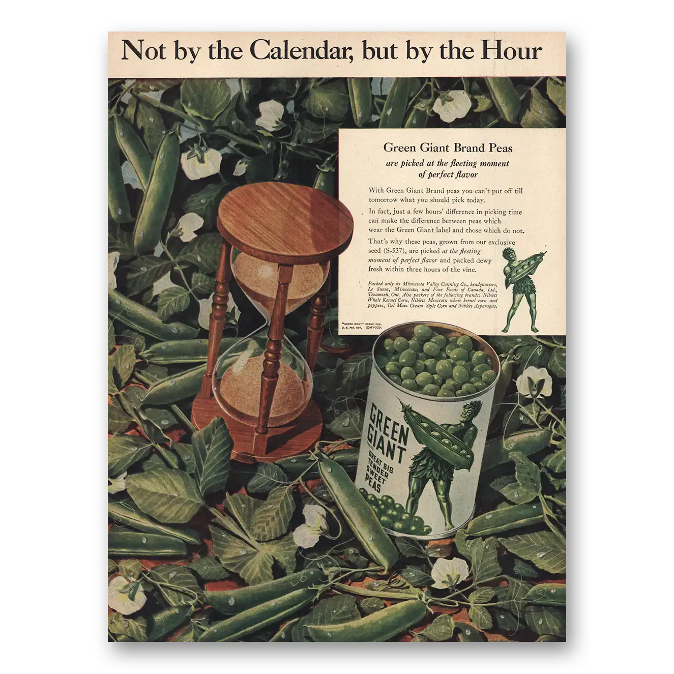 1946 Green Giant Green Peas Not By the Calendar Vintage Magazine Print Ad