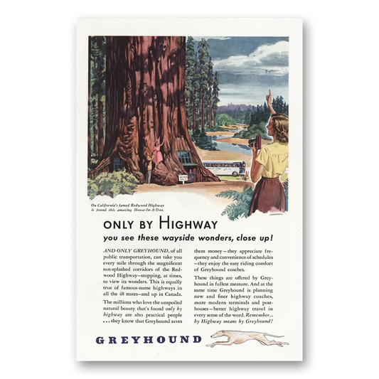 1946 Greyhound Only by Highway You See These Wayside Wonders Vintage Magazine Print Ad