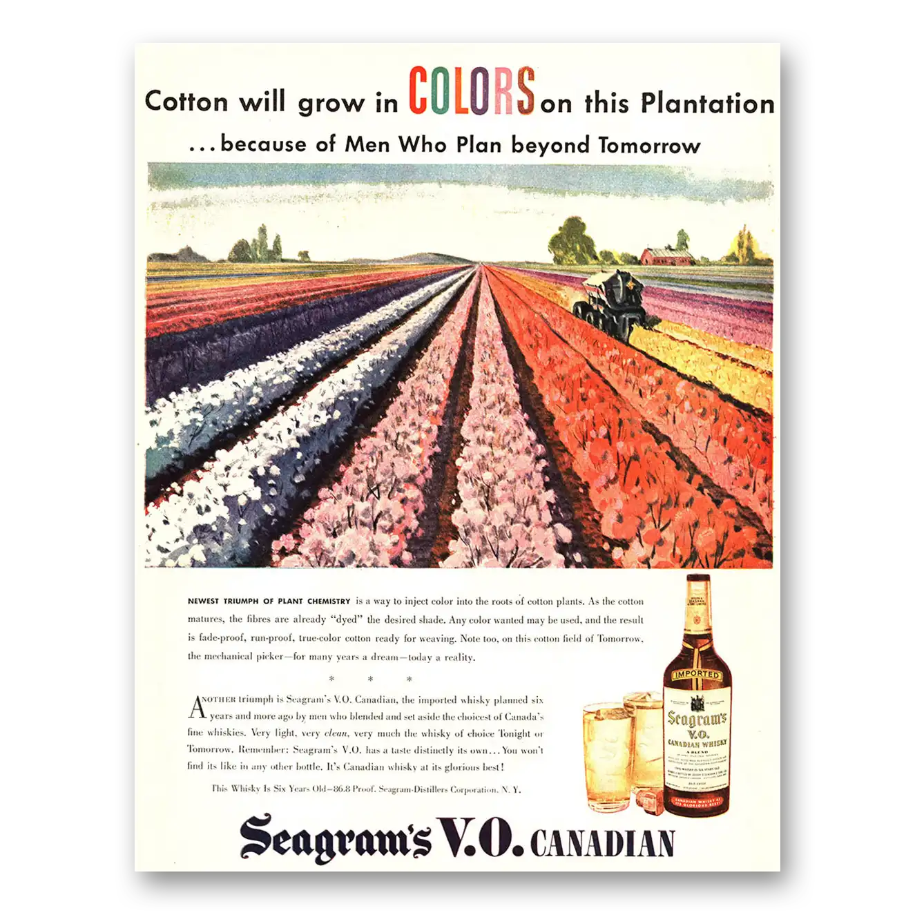 1946 Seagrams VO Whisky Cotton Will Grow In Colors On this Plantation Vintage Magazine Print Ad