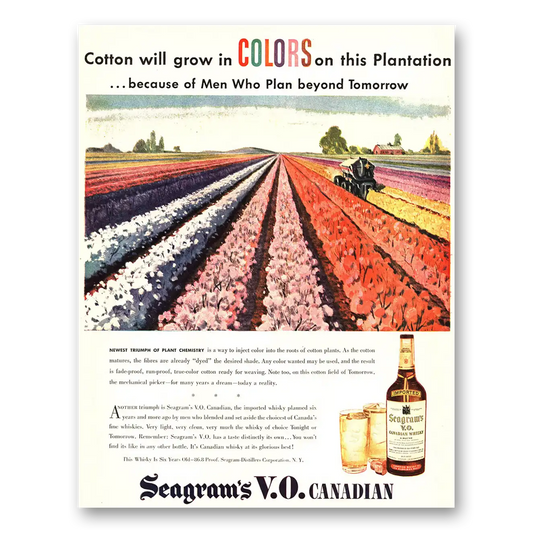 1946 Seagrams VO Whisky Cotton Will Grow In Colors On this Plantation Vintage Magazine Print Ad