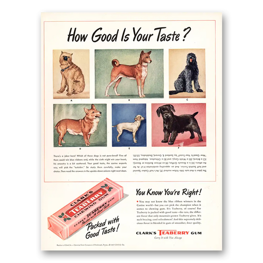 1947 Clarks Gum Clarks Teaberry Chewing Gum How Good Is Your Taste Vintage Magazine Print Ad