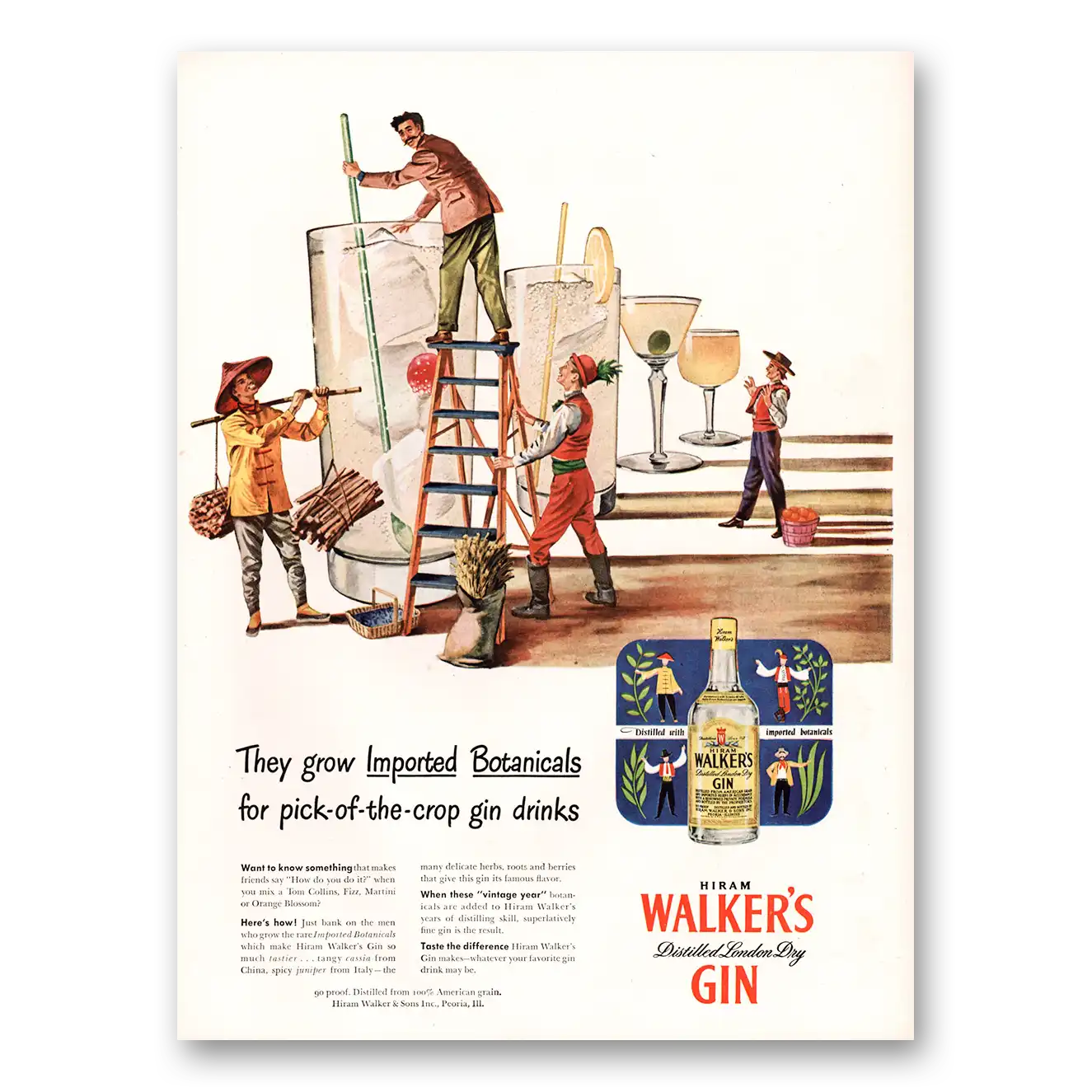 1947 Walkers Gin Grow Imported Botanicals Vintage Magazine Print Ad