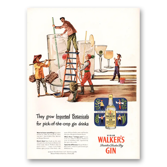 1947 Walkers Gin Grow Imported Botanicals Vintage Magazine Print Ad