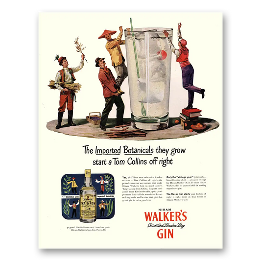 1947 Walkers Gin Imported Botanicals They Grow Vintage Magazine Print Ad