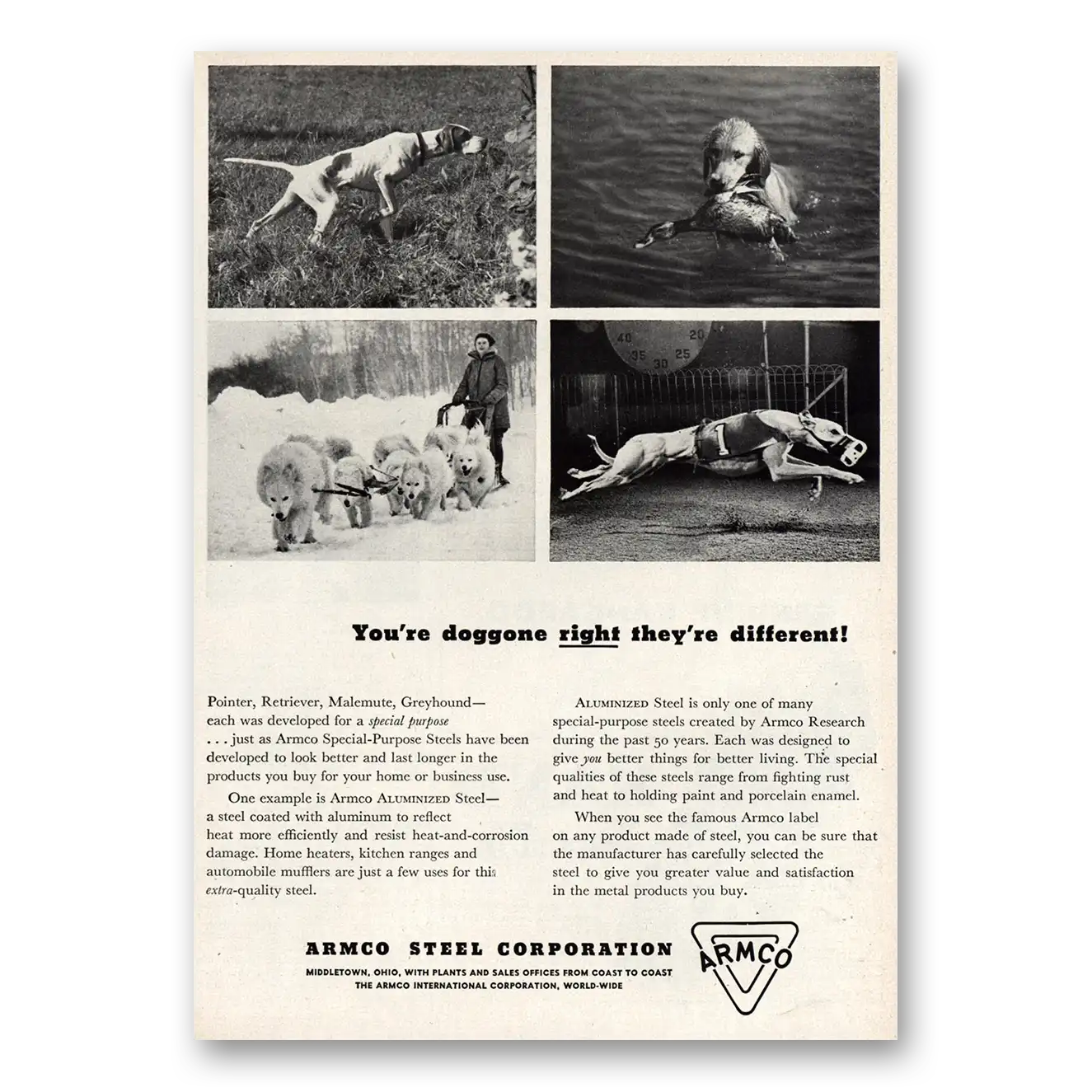 1948 Armco Steel Doggone Right They're Different Vintage Magazine Print Ad