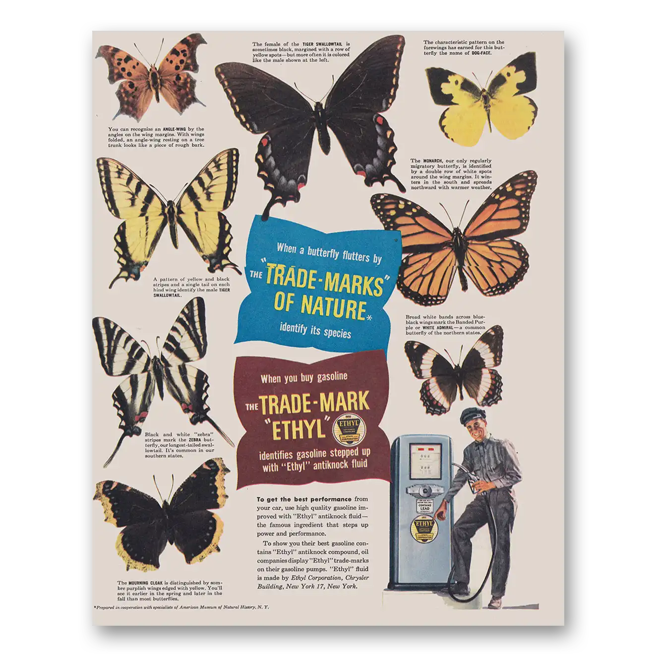 1948 Ethyl Gasoline When a Butterfly Flutters by the Trade Marks of Nature Vintage Magazine Print Ad