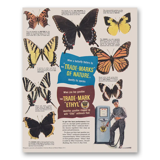 1948 Ethyl Gasoline When a Butterfly Flutters by the Trade Marks of Nature Vintage Magazine Print Ad