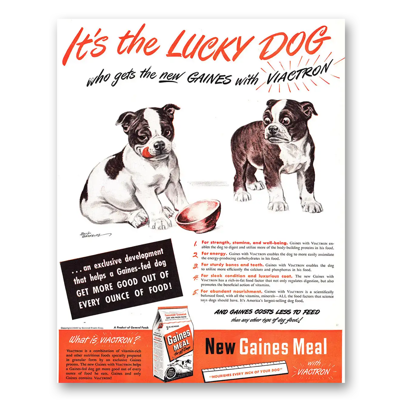 1948 Gaines Dog Food Lucky Dog Who Gets New Gaines Vintage Magazine Print Ad