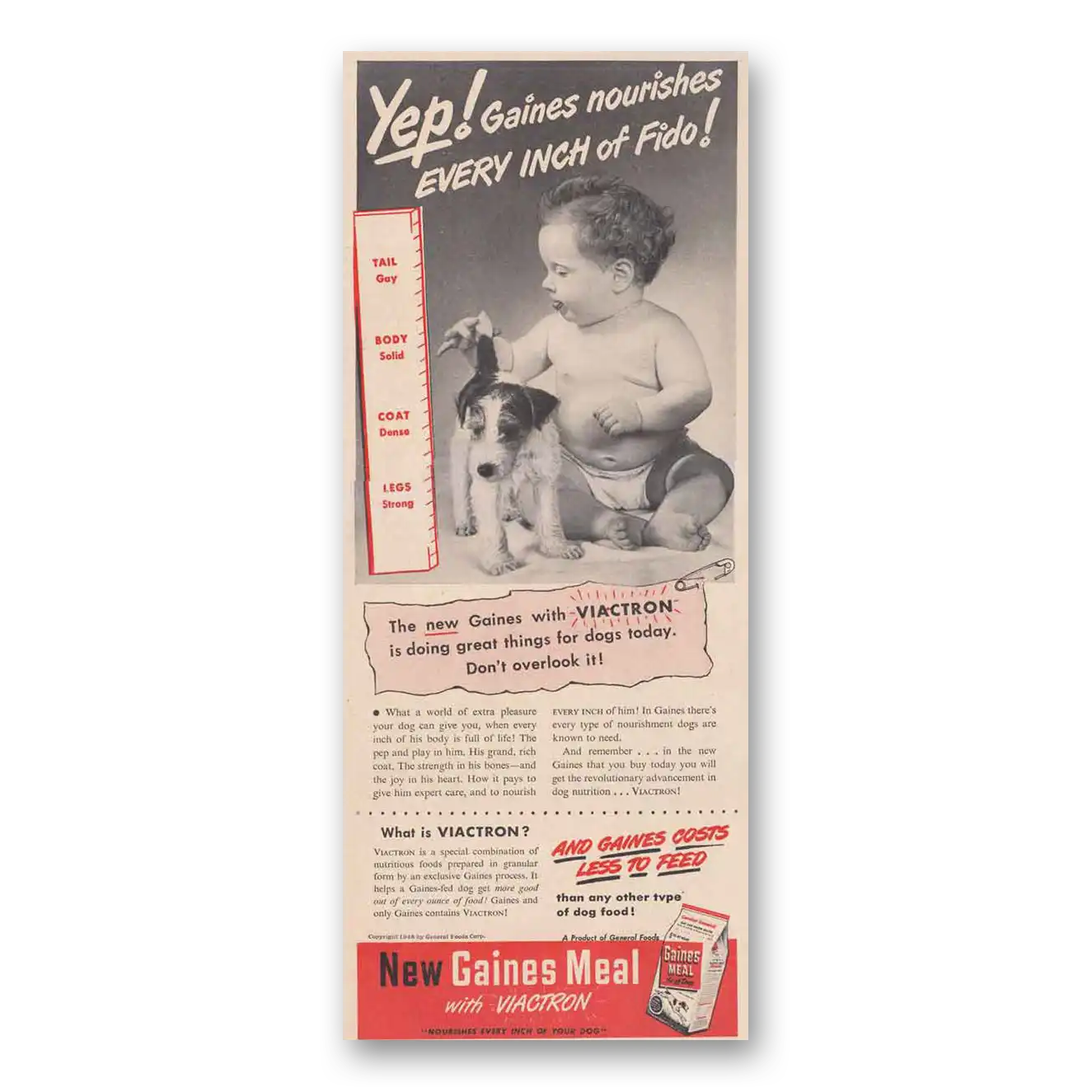 1948 Gaines Dog Food Nourishes Every Inch of Fido Vintage Magazine Print Ad