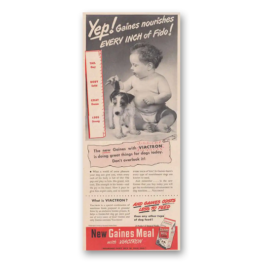 1948 Gaines Dog Food Nourishes Every Inch of Fido Vintage Magazine Print Ad