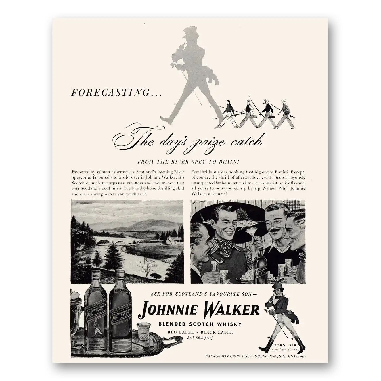 1948 Johnnie Walker Black Label Days Prize Catch River Spey Vintage Magazine Print Ad