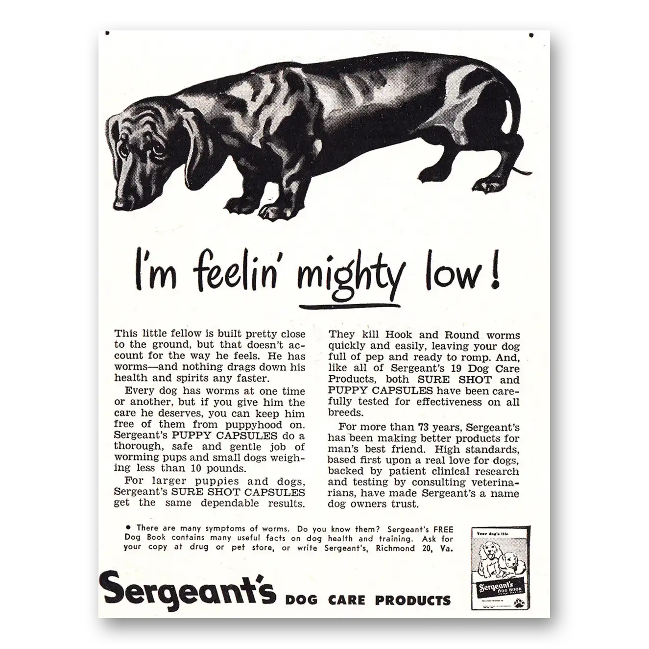 1948 Sergeants Puppy Capsules Feelin Mighty Low Vintage Magazine Print Ad