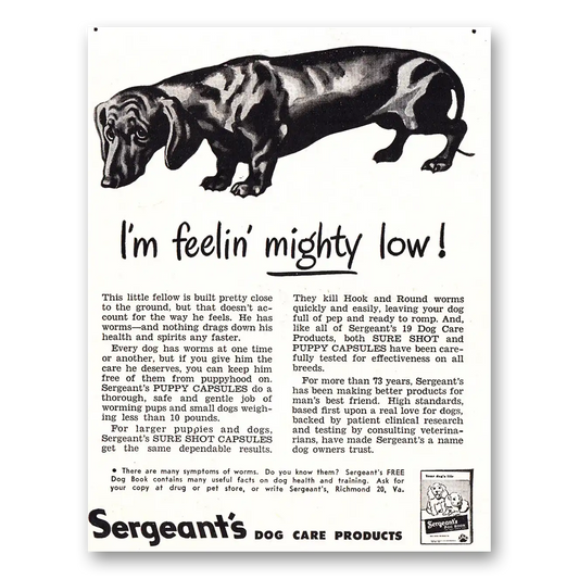 1948 Sergeants Puppy Capsules Feelin Mighty Low Vintage Magazine Print Ad