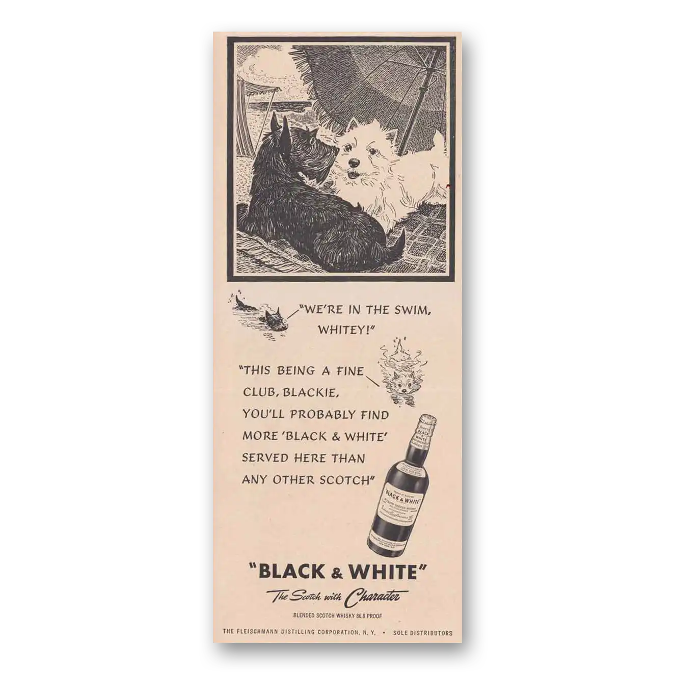 1949 Black and White Scotch We're in the Swim Whitey Vintage Magazine Print Ad