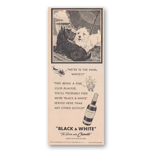 1949 Black and White Scotch We're in the Swim Whitey Vintage Magazine Print Ad