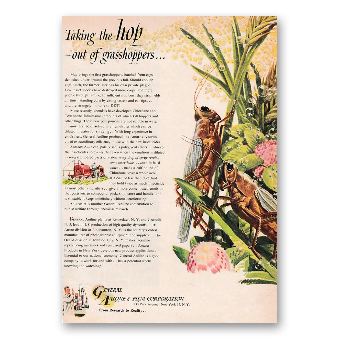 1949 General Aniline & Film Taking the Hop Out of Grasshoppers Vintage Magazine Print Ad