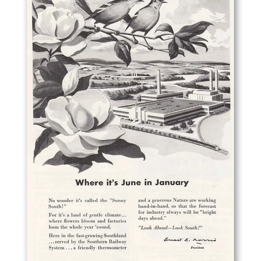 1949 Southern Railway June in January Vintage Magazine Print Ad