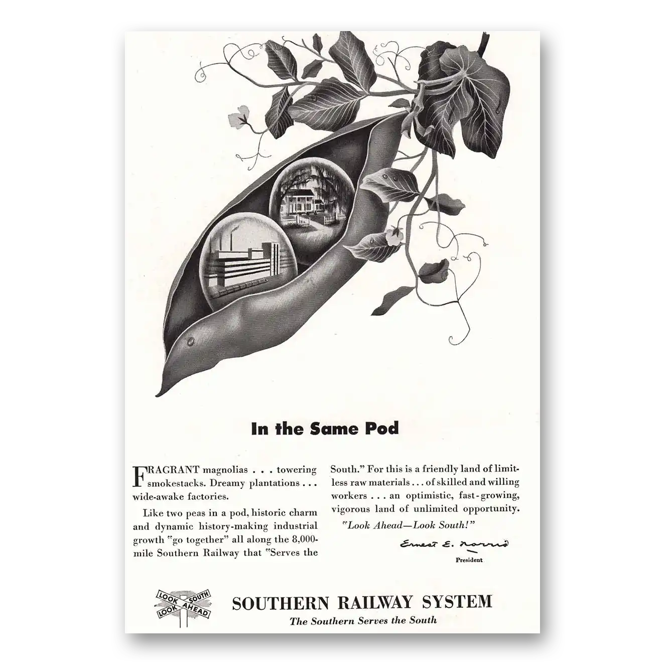 1949 Southern Railway In the Same Pod Vintage Magazine Print Ad